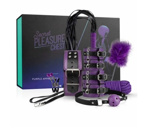 Secret Pleasure Chest Purple Apprentice Bondage Starter Set Adjustable
