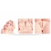 KOKOS Victoria Anatomical Intimate Model Compact Soft Touch 8809392181098