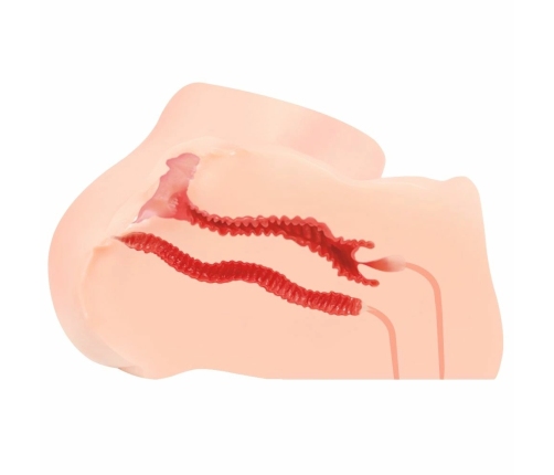 Kokos Hanna Intimate Machine Anatomical TPE Model with Dual Texture 21cm