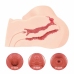 Kokos Maria Intimate Machine Onahole Ultra-Soft TPE Anatomical Model