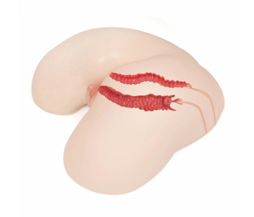 Kokos Maria Intimate Machine Anatomical Hip Model Ultra-Soft TPE