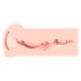 Haru Pleasure Device Soft Touch Anatomical Model - Compact Size