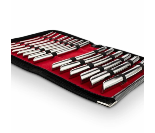 Sinner Gear 14-Piece Stainless Steel Intimate Dilator Set, 0.4-1.7 cm