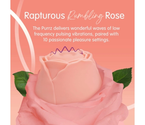 Skins Rose Buddies The Rose Purrz Vibrator Pink - 10-Speed, USB Rechargeable