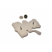 XR Brands BDSM Bear Enamel Pin - Playful Collectible Accessory