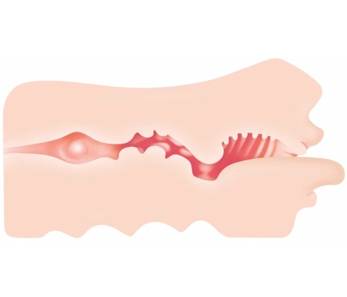 Evolved Real Mouth Intimate Simulator with Anatomical Texture 15 cm