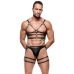 Leather Harness Set M/L