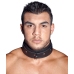 Leather Collar L/XL