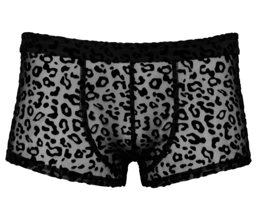 Noir M.Pants leo M