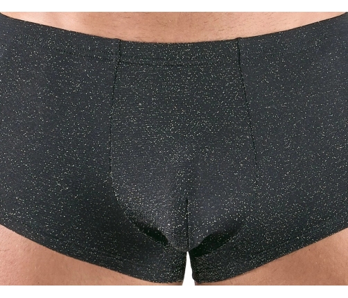 Svenjoyment Lurex Silver Pants L - Shimmering Stretch Comfort