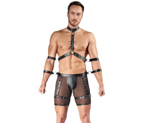 Men's Harness and Pants L