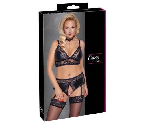 Bra and Suspender Briefs 4XL