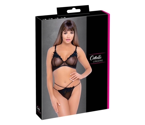 Bra and Rio XL