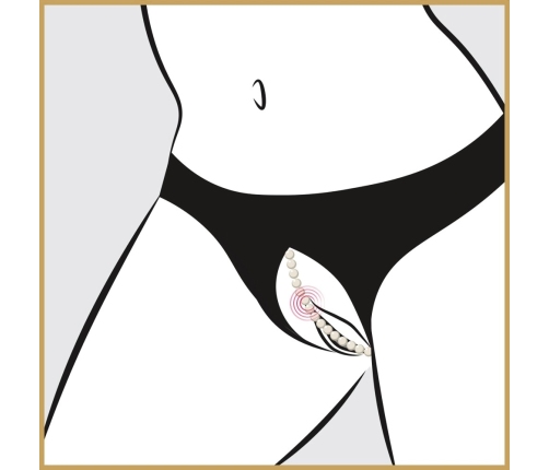 Pearl Briefs black 3XL