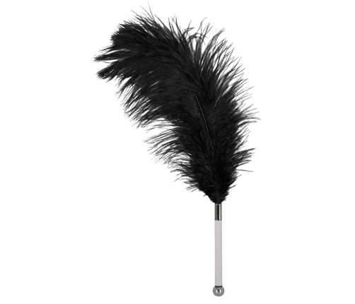 Feather black acrylic