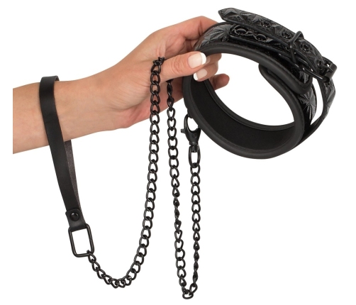Collar with Leash