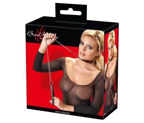 Collar and Leash