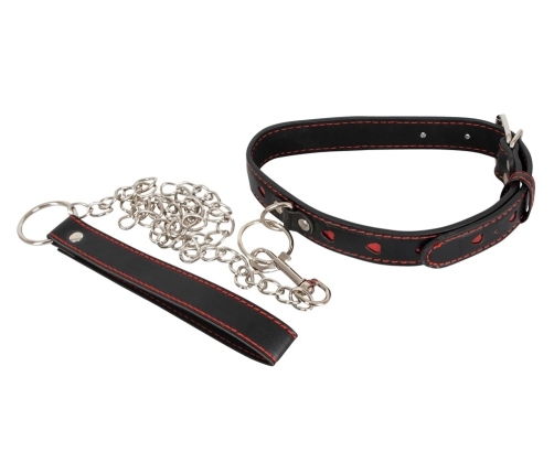 Collar and Leash