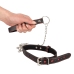 Collar and Leash