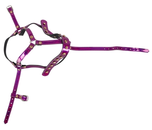 Head Harness