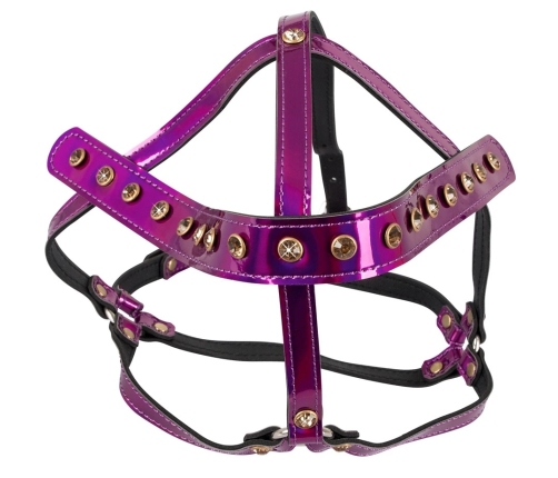 Head Harness
