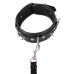 ZADO Vegan Adjustable Collar and Leash Set with Decorative Spikes, Black