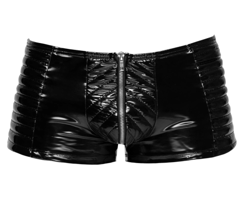 Vinyl M. Pants Biker L
