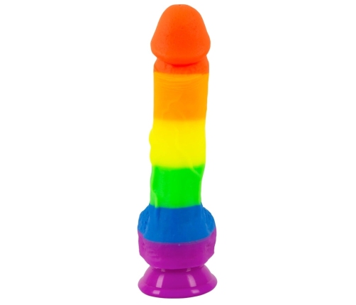 You2Toys PRIDE! Rainbow Silicone Model with Suction Cup 21 cm