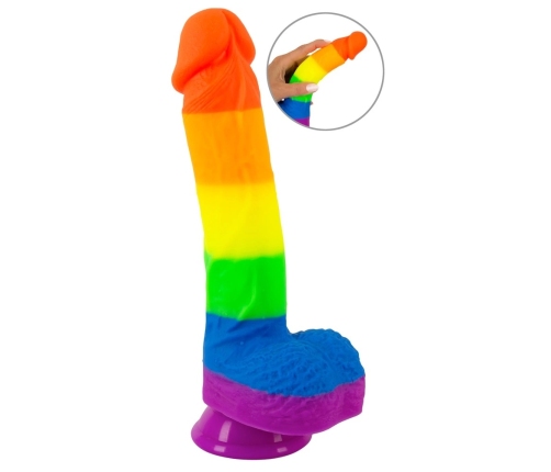 You2Toys PRIDE! Rainbow Silicone Model with Suction Cup 21 cm