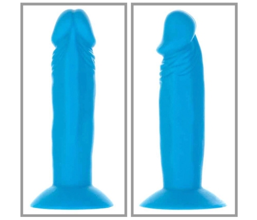 Addiction Silly Willy Mini Display Set - 12 Silicone Color Models, 8.4 cm