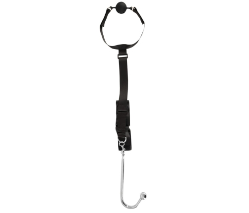 Bad Kitty Bondage Set with Anal Hook & Adjustable Mouth Gag