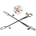 Bad Kitty Bed/Door-Restraint Set Red/Black Adjustable 5-Piece
