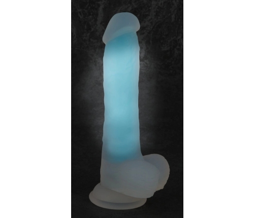 Glow in the Dark Dildo