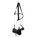 Sex Swing