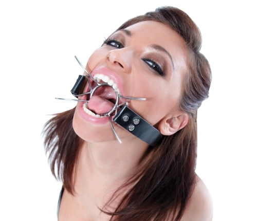FFE Spider Gag Silver/Black