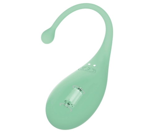Adrien Lastic Palpitation Mint App-Controlled Intimate Bullet 18cm