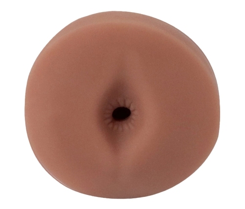 PDX Extreme Freshman Brown Intimate Machine with Anatomical Texture 13.5cm