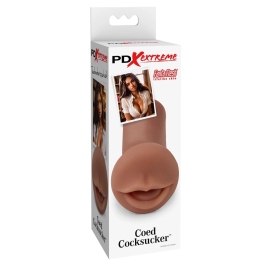 PDX Extreme Coed Intimate Machine Brown 12.7 cm TPR Anatomical Model