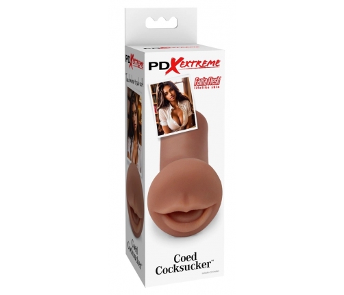 PDX Extreme Coed Intimate Machine Brown 12.7 cm TPR Anatomical Model