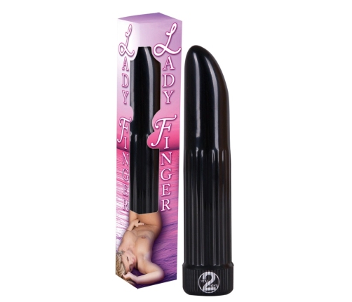 Vibrator 