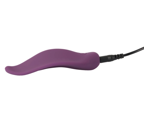 Sweet Smile RC Panty Vibrator