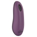 Sweet Smile RC Panty Vibrator