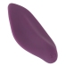 Sweet Smile RC Panty Vibrator