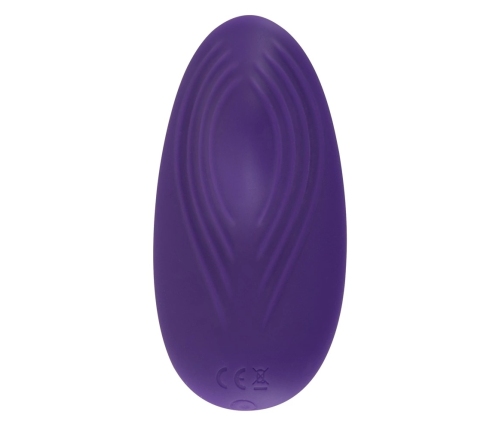 Sweet Smile RC Panty Vibrator