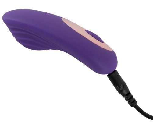 Sweet Smile RC Panty Vibrator