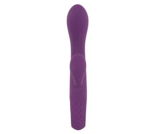 Rabbit Vibrator petit purple