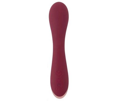 Vibrator rechargeable