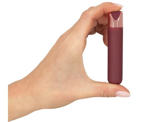 Bullet rechargeable