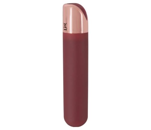 Bullet rechargeable