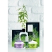 Oh! HM Cannabis Pleasure Oil 6